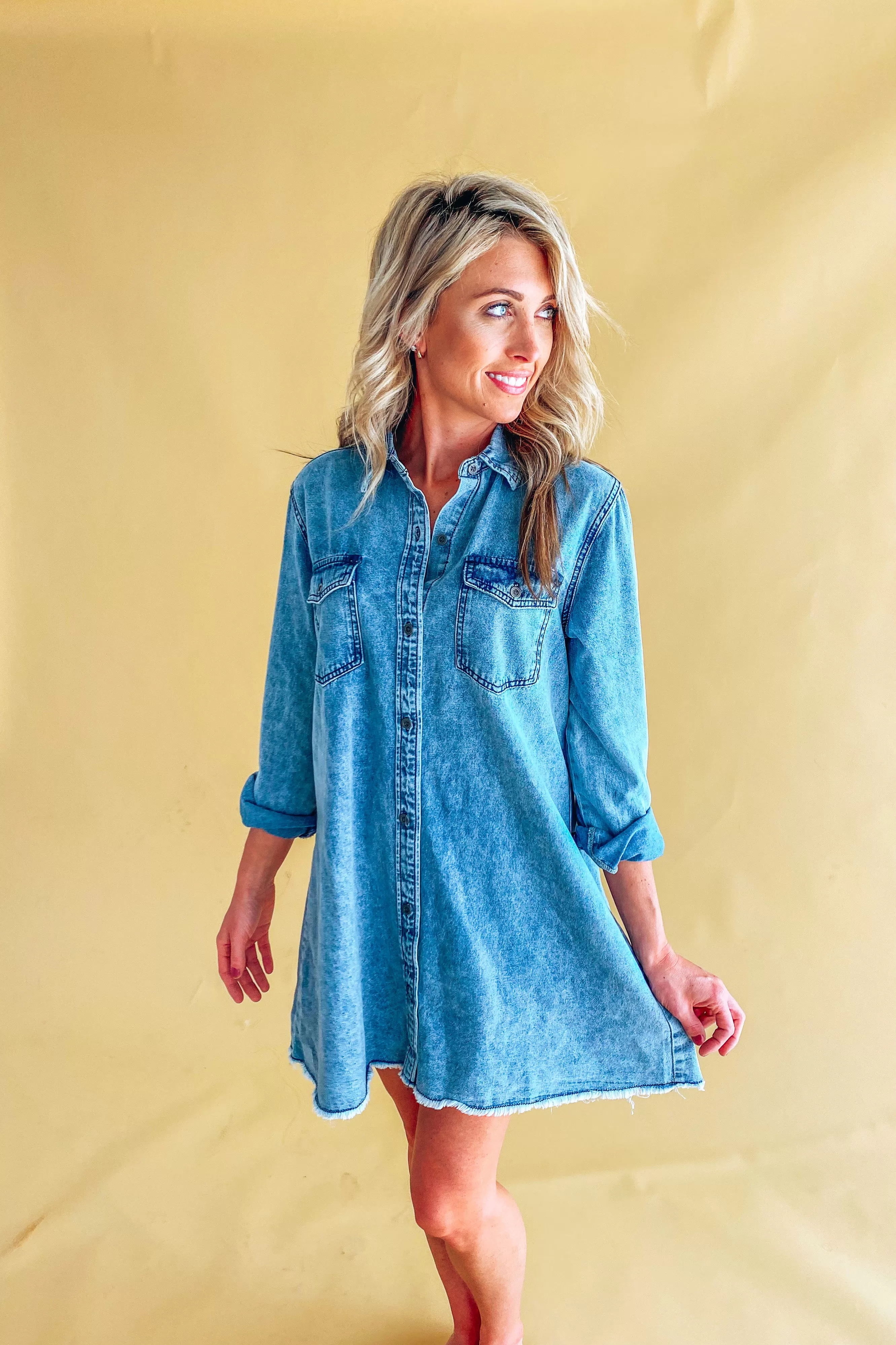 Alice Denim Long Sleeve Dress