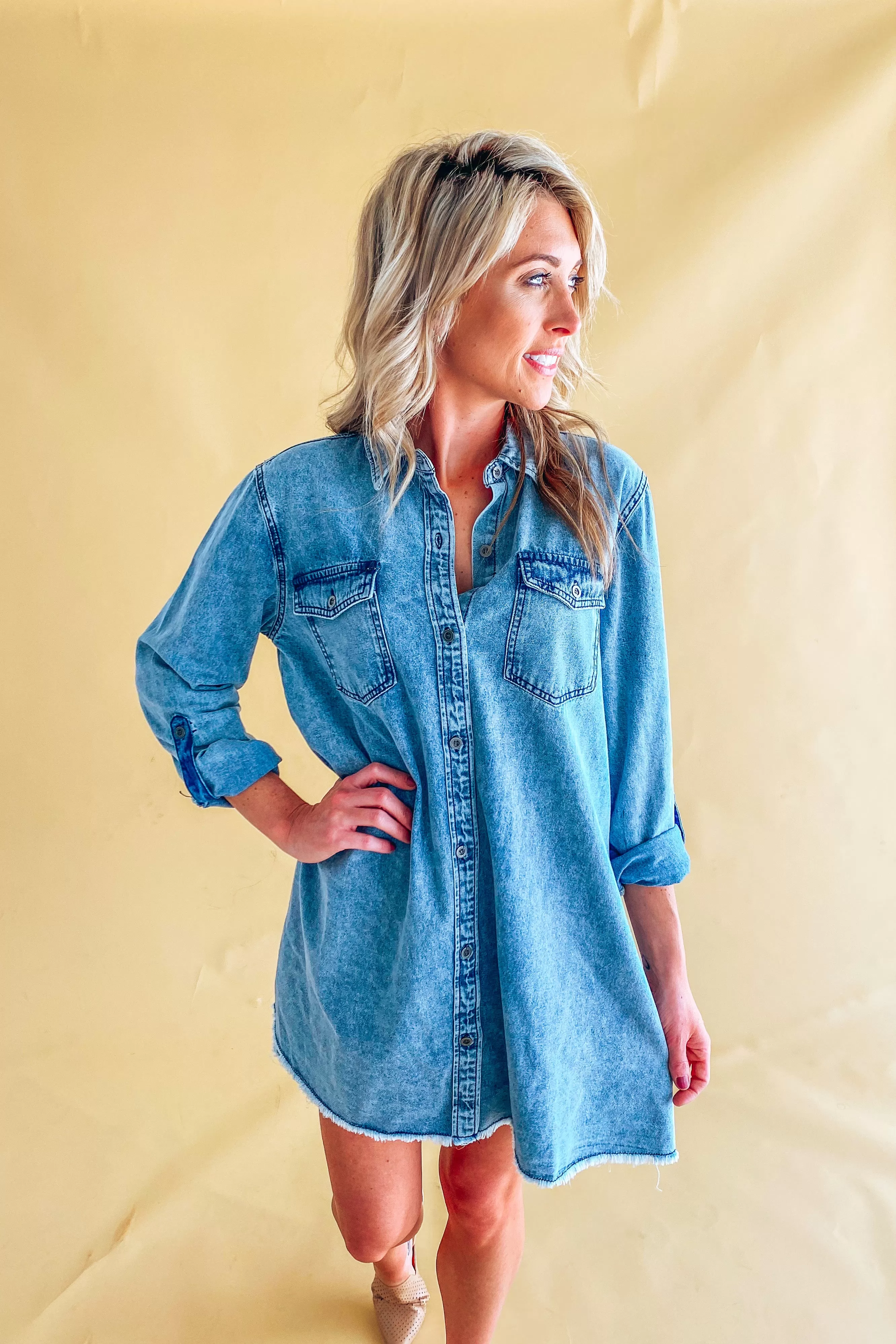 Alice Denim Long Sleeve Dress