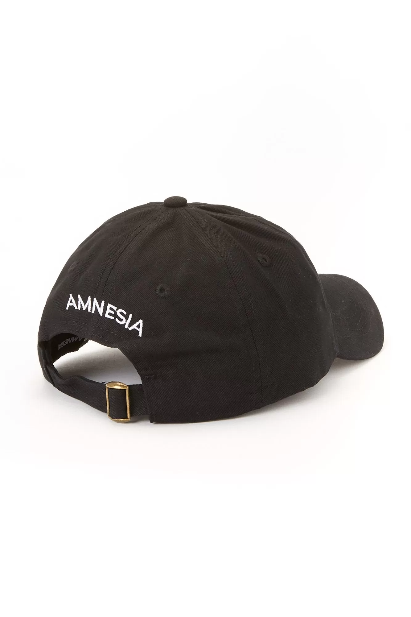 Amnesia Hotdog Dad Cap