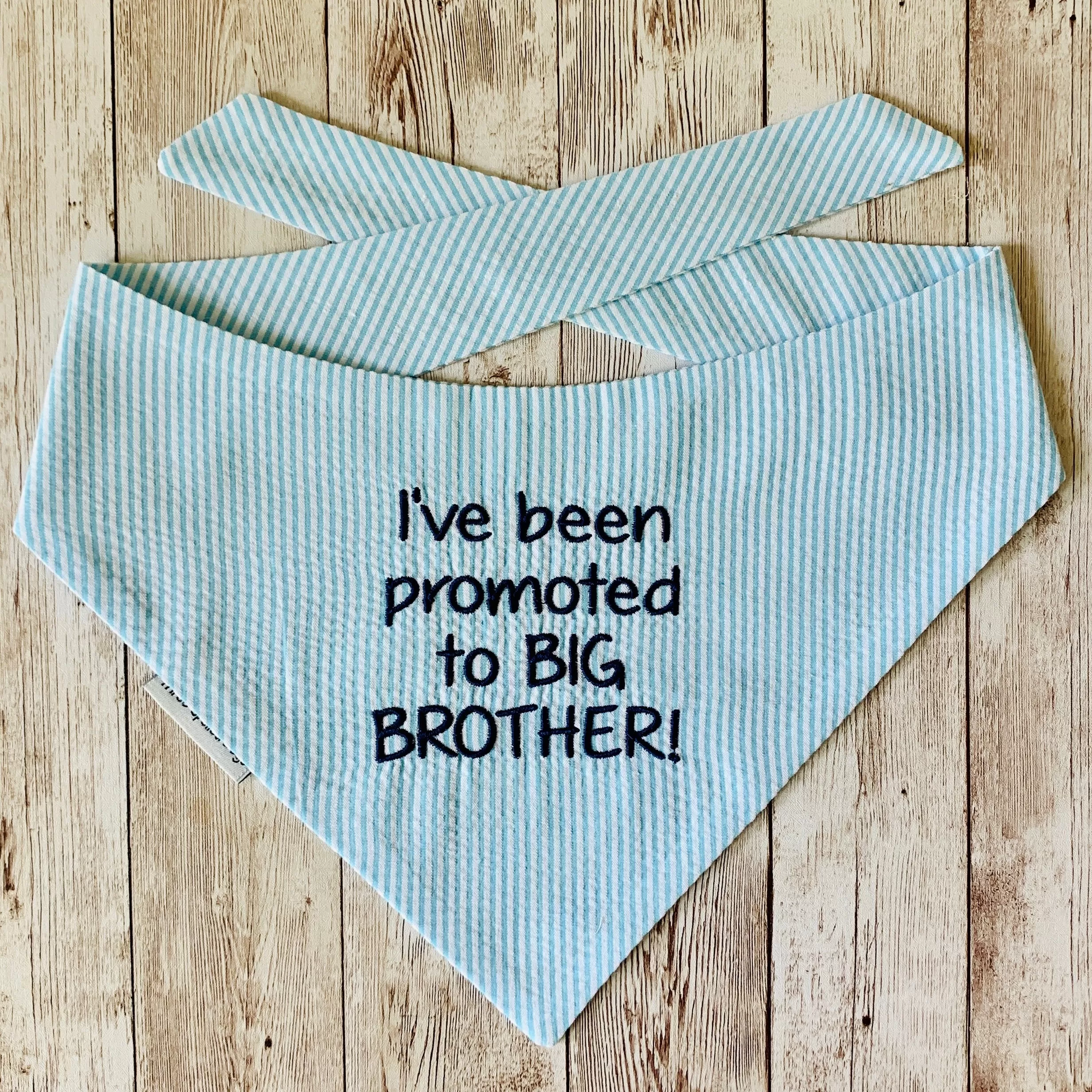 Little Brother Embroidered Seersucker Dog Bandanas