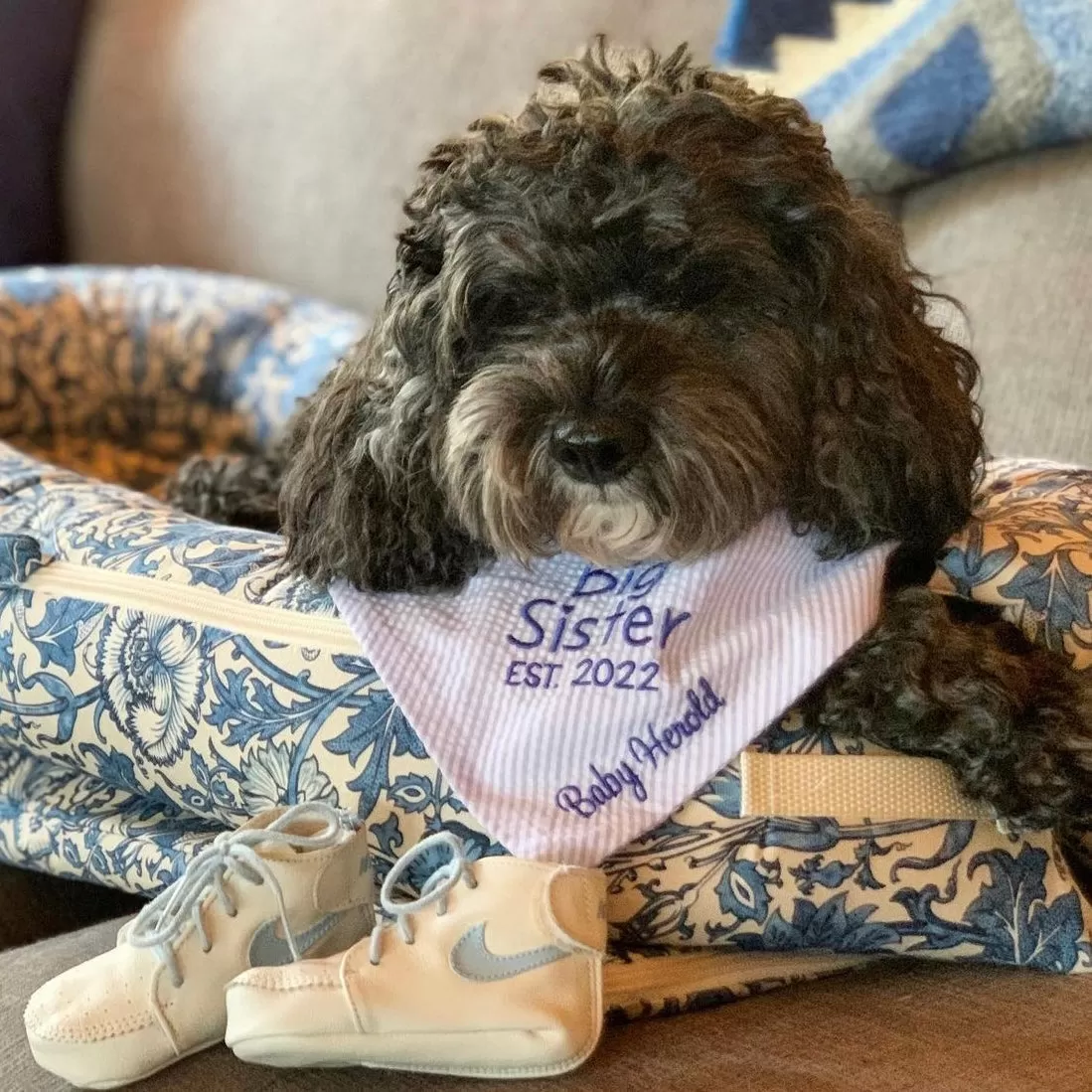 Little Brother Embroidered Seersucker Dog Bandanas