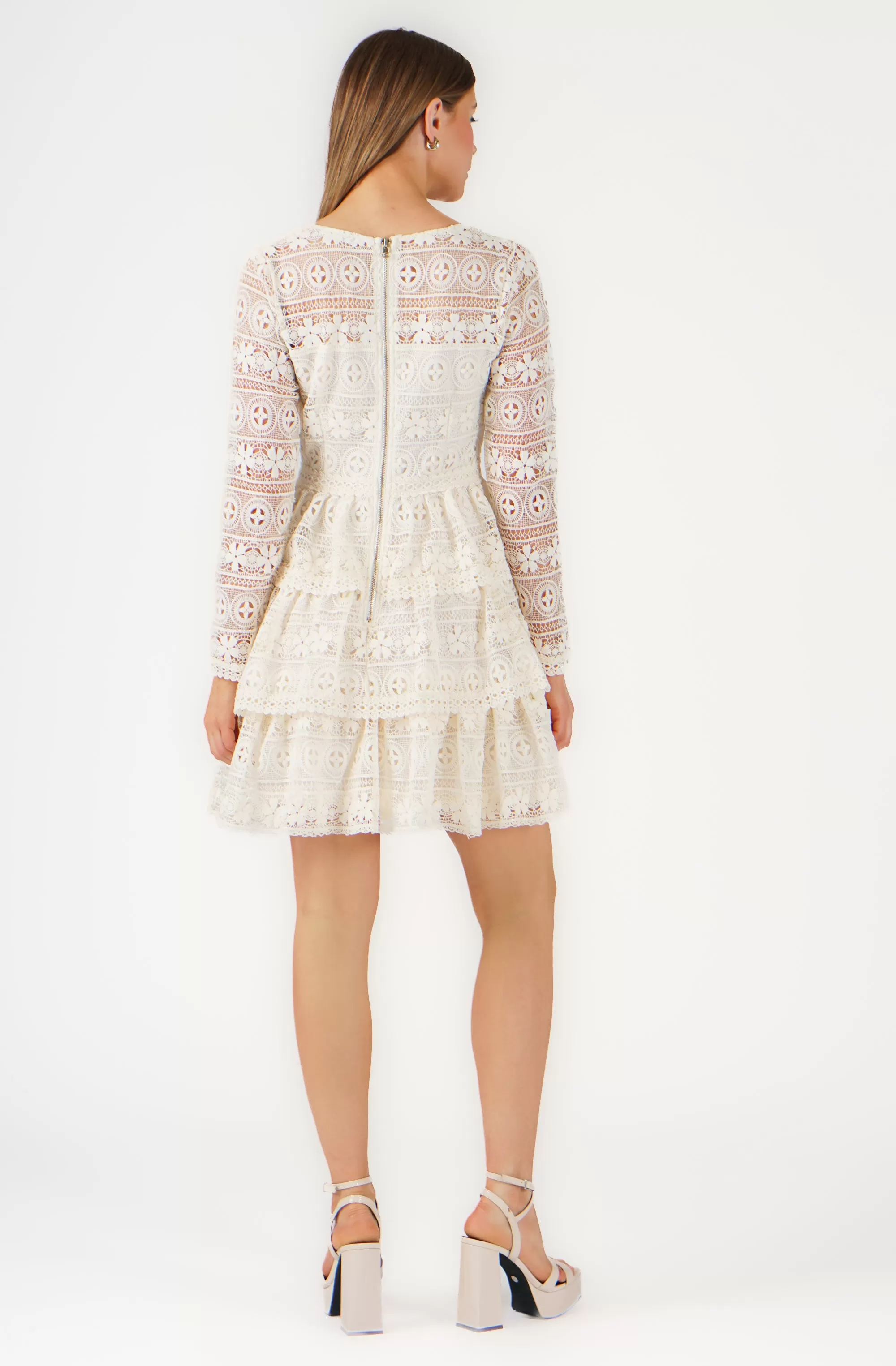 Long Sleeve Embroidered Lace Dress