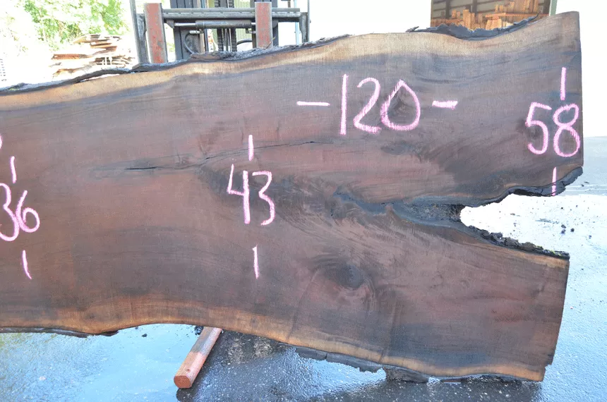 Oregon Black Walnut 081221-06