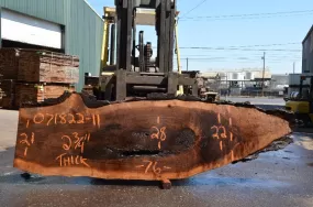 Oregon Black Walnut Slab 071822-11