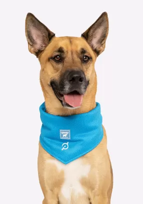 Peloton x Canada Pooch Wet Cooling Bandana