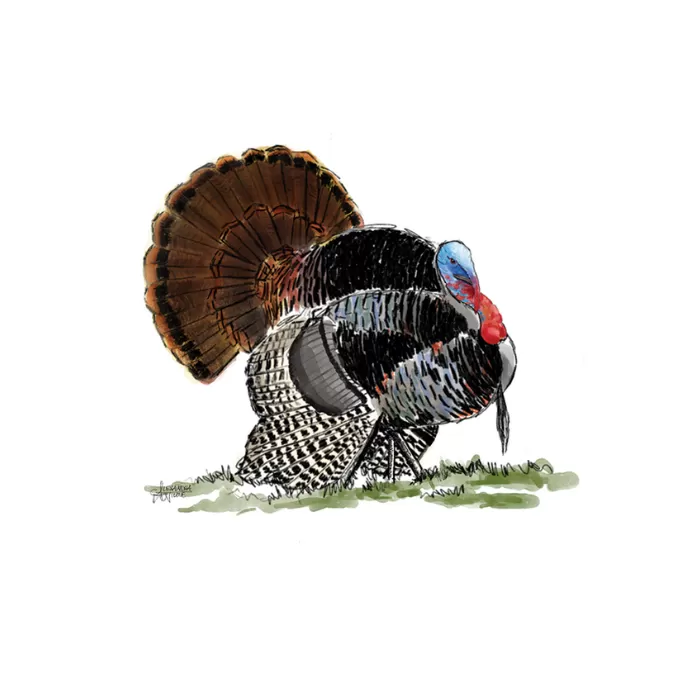 Realtree Bottomland Embroidered Turkey Hat